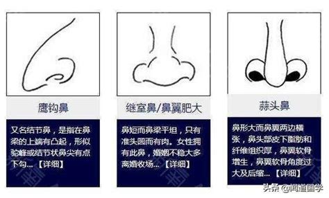 露鼻孔 面相|露鼻孔的面相性格与命运详解